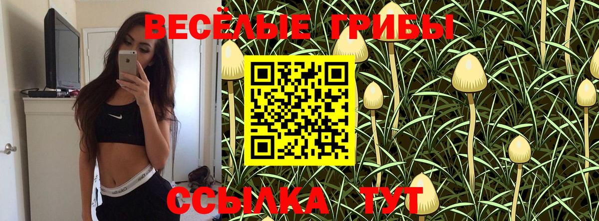 Псилоцибиновые грибы прущие грибы  Галлюциногенные грибы прущие грибы  Кольчугино  купить   Вход с VPN 